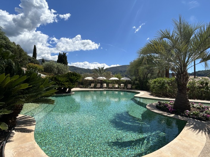 Location de vacances - Villa à Carros - Magnifique piscine-lagon