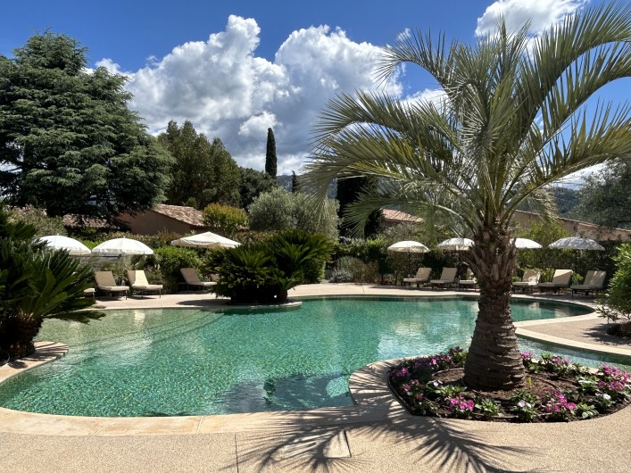 Location de vacances - Villa à Carros - Magnifique piscine-lagon
