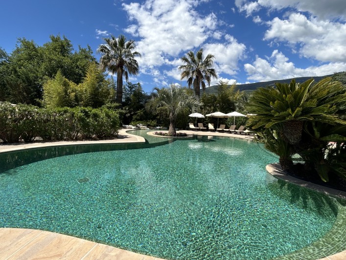 Location de vacances - Villa à Carros - Magnifique piscine-lagon