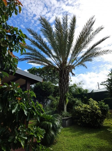 Location de vacances - Maison - Villa à Maniron