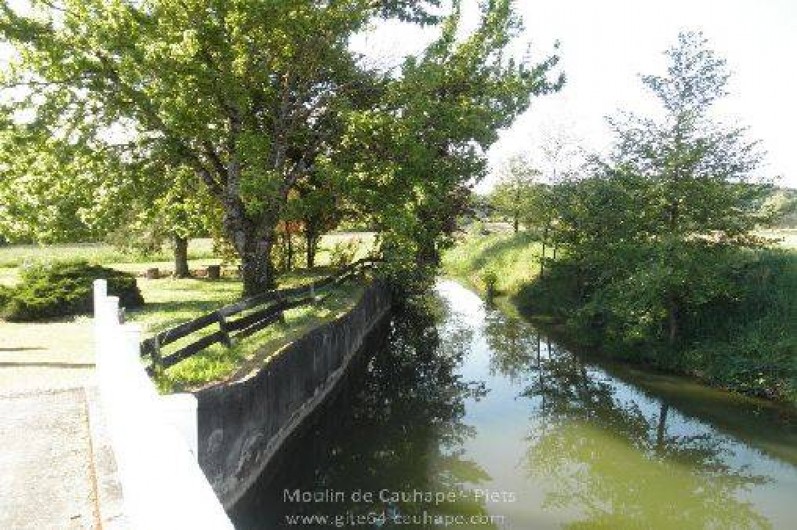 Location de vacances - Gîte à Piets-Plasence-Moustrou - Le bassin, mais l'arbre n'existe plus...
