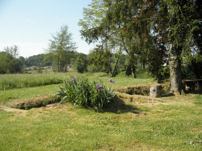 Location de vacances - Gîte à Piets-Plasence-Moustrou - Le champs en face du gîte et au delà du trop plein du bassin