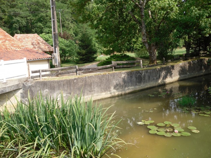 Location de vacances - Gîte à Piets-Plasence-Moustrou - Le bassin de l'ancien moulin