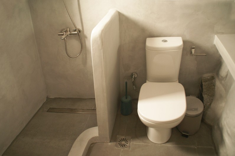 Location de vacances - Appartement à Livadi - Bathroom 2, douche