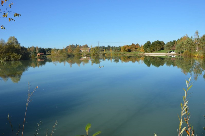 Location de vacances - Gîte à Varennes-Changy - Étang de 2 hectares avec possibilité de pêcher