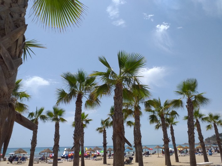Location de vacances - Appartement à Oropesa del Mar - plages de sable fin à 150 mètres de la location