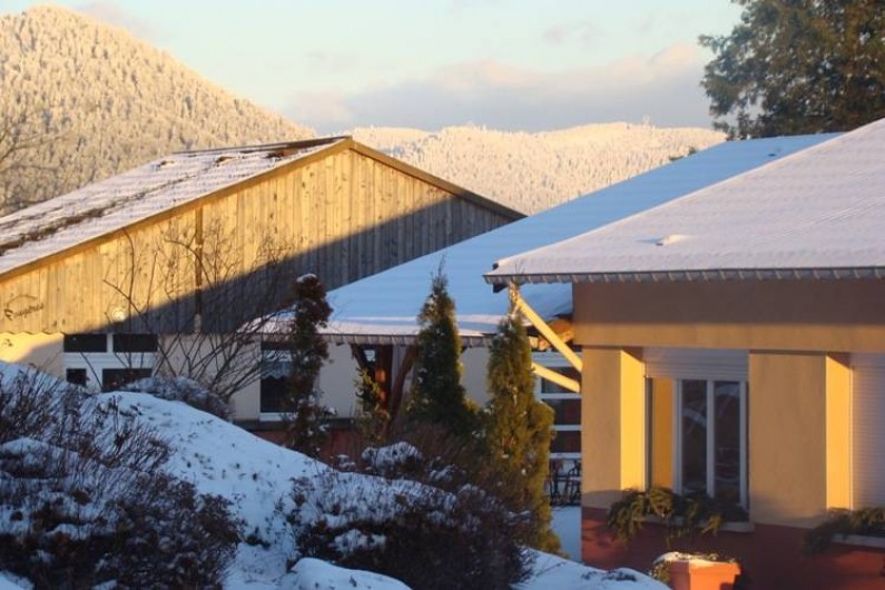 Location de vacances - Chalet à Senones - La neige au rendez vous chaque hiver