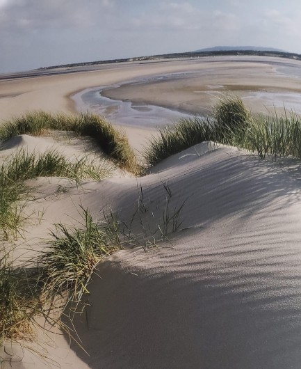 Location de vacances - Studio à Le Touquet-Paris-Plage