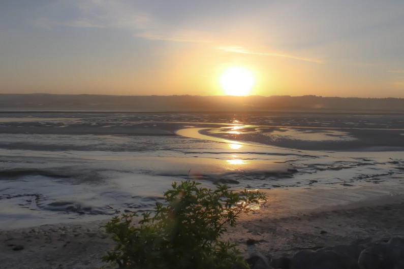 Location de vacances - Studio à Le Touquet-Paris-Plage