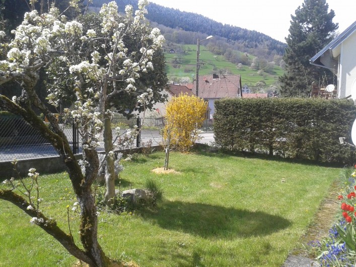 Location de vacances - Gîte à Sondernach - Devant la maison ce printemps