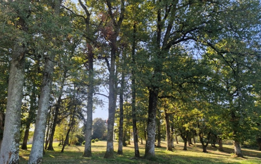 Location de vacances - Gîte à Saint-Pierre-de-Côle