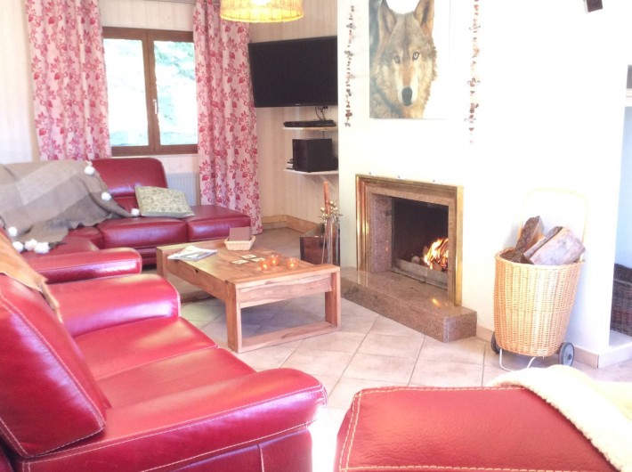 Location de vacances - Chalet à Barcelonnette - Salon : feu de cheminée avec bois à disposition, Home Cinéma.