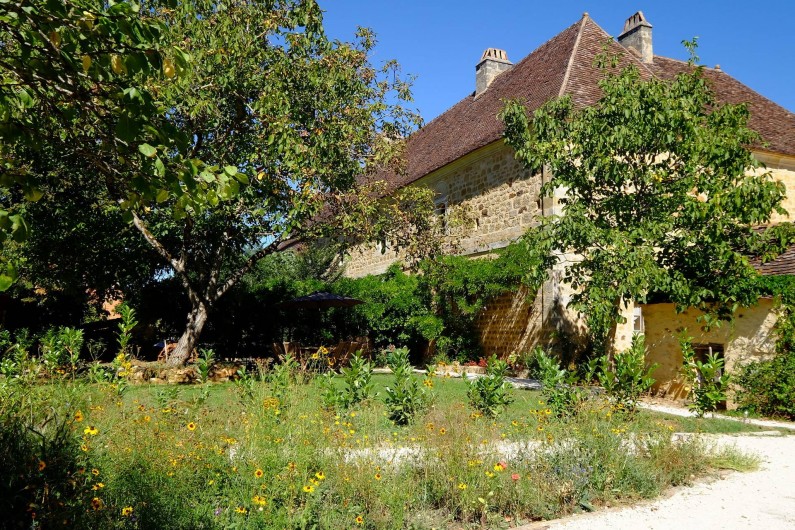 Location de vacances - Gîte à Cénac-et-Saint-Julien - Jardin