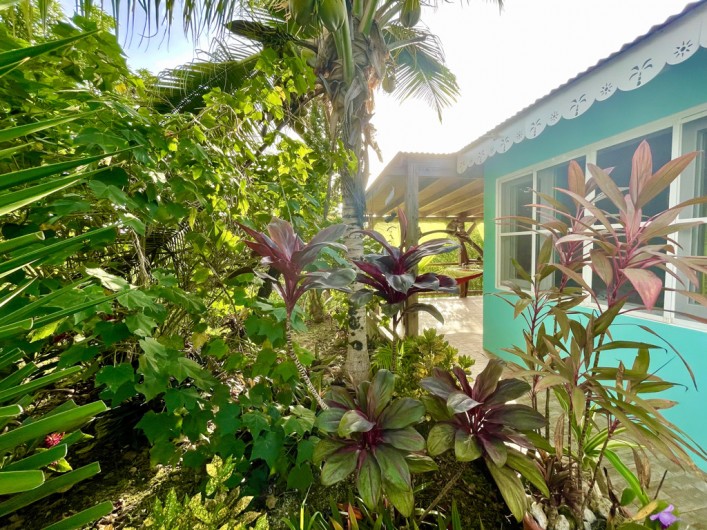 Location de vacances - Gîte à Le Gosier - Terrasse privée de la chambre XXL de 50m2