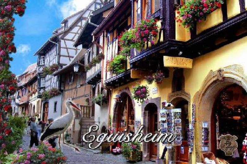 Location de vacances - Appartement à Eguisheim