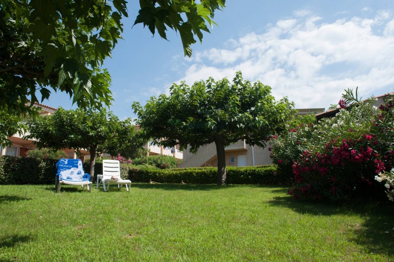 Location de vacances - Appartement à Lumio - Jardin