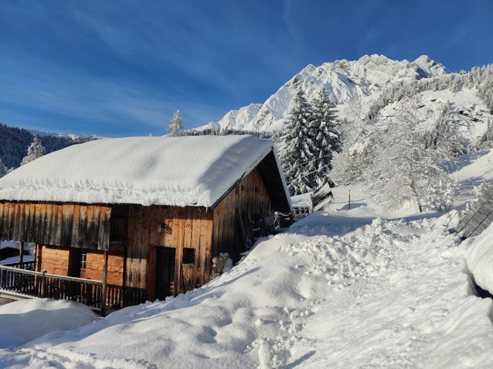 Location de vacances - Chalet à La Giettaz