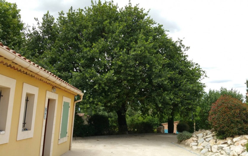 Location de vacances - Maison - Villa à Loriol-du-Comtat - Jeu de boucles à l 'ombre du vieux chêne