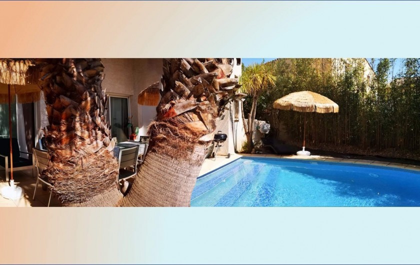 Location de vacances - Villa à Le Grau-du-Roi - Terrasse Principale avec 2 palmiers géants ( washingtonia ) et piscine.