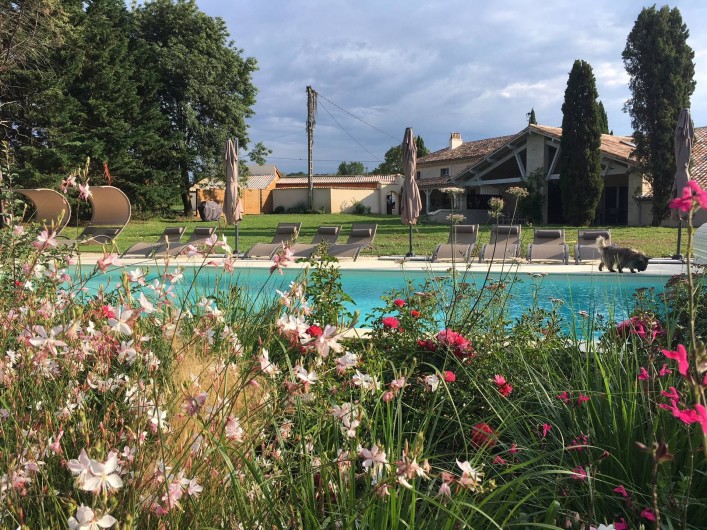 Location de vacances - Gîte à Lougratte - parc et sa piscine à partagée avec les 3 gîtes