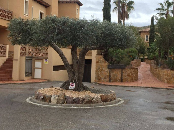 Location de vacances - Appartement à Vera - Parking privatif avec un magnifique olivier à l'entrée