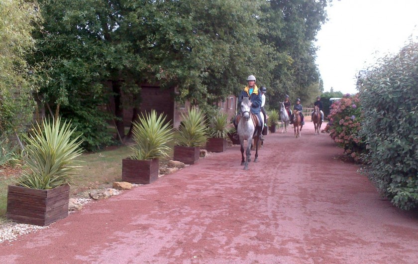 Location de vacances - Gîte à Sallertaine - départ de randonnée à cheval, pour tout niveau équestre