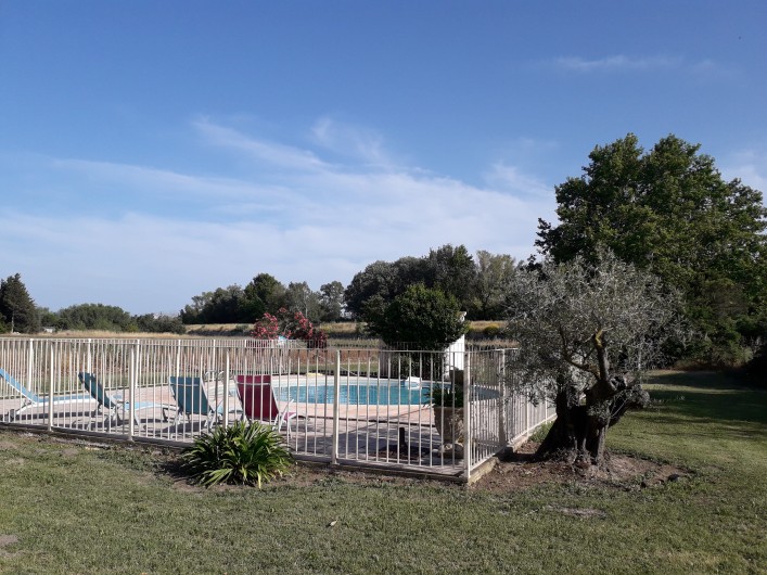 Location de vacances - Mas à Montfavet - piscine sécurisée