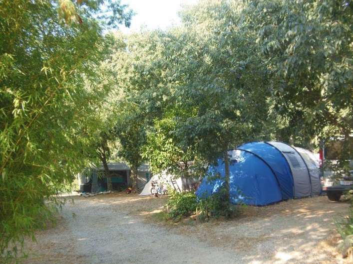 Location de vacances - Camping à Sorède - LE CAMPING 3 ÉTOILES