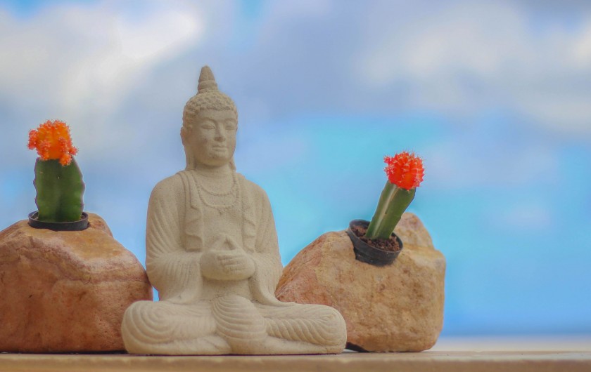 Location de vacances - Bungalow - Mobilhome à L'Étang-Salé - Figurine détente au spa