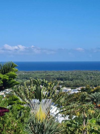 Location de vacances - Bungalow - Mobilhome à L'Étang-Salé - VUE IMPRENABLE DEPUIS LA TERRASSE DU VETIBUNGA