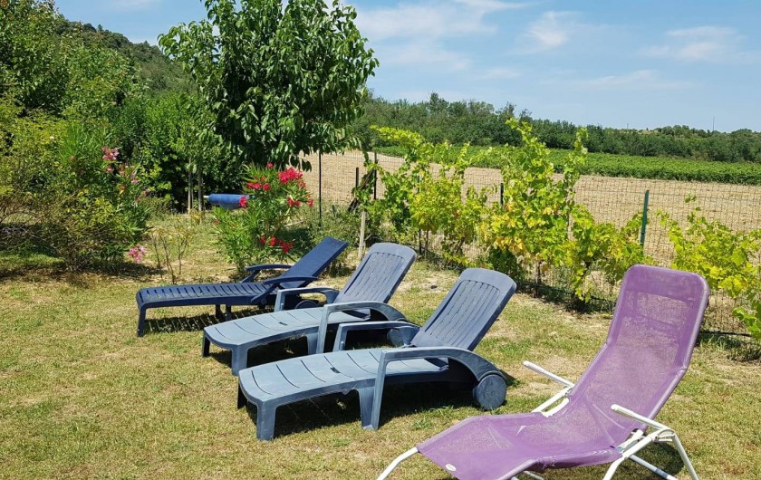 Location de vacances - Gîte à Rieux-en-Val - Coin repos avec vue sur les vignes et la piscine