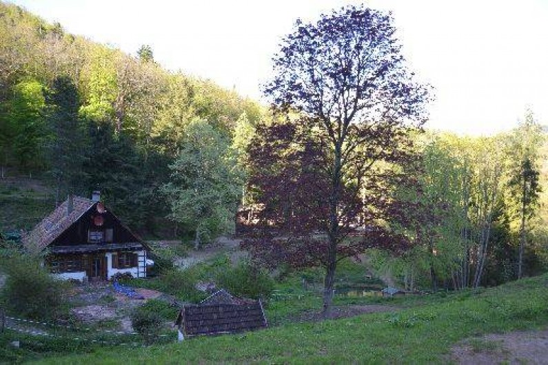 Location de vacances - Chalet à Soultzbach-les-Bains