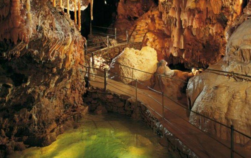 Location de vacances - Gîte à Millau - Grotte de Dargilan