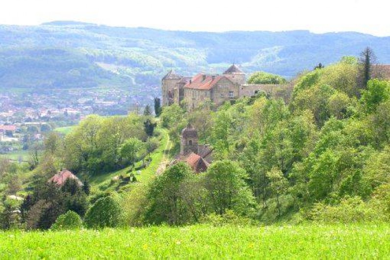 Location de vacances - Gîte à Sancey-le-Grand - à 5 mn le château et le village médiéval de Belvoir