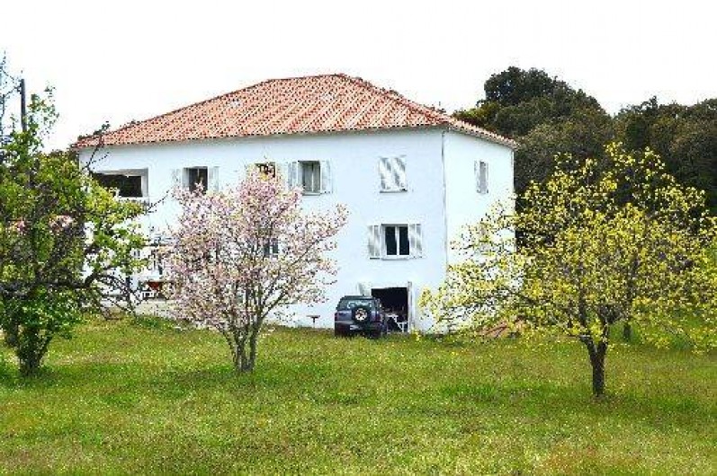 Location de vacances - Villa à Zonza