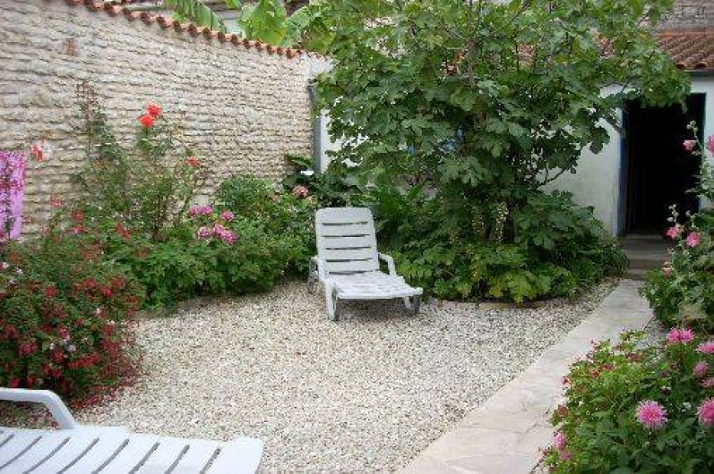 Location de vacances - Maison - Villa à Dolus-d'Oléron - jardin qui est le centre de la maison: rejoint les 2 parties habitées et le chai