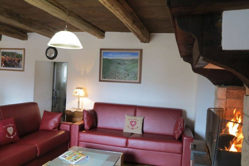 Location de vacances - Gîte à Saint-Pierre-de-Nogaret - Salon avec maxi-canapés (4 places adultes chacun) et cheminée