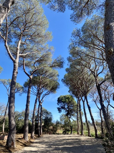 Location de vacances - Gîte à Pézenas