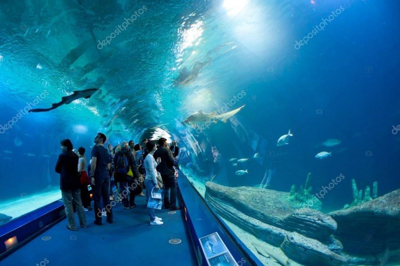Location de vacances - Appartement à Valence - le tunnel sous les requins