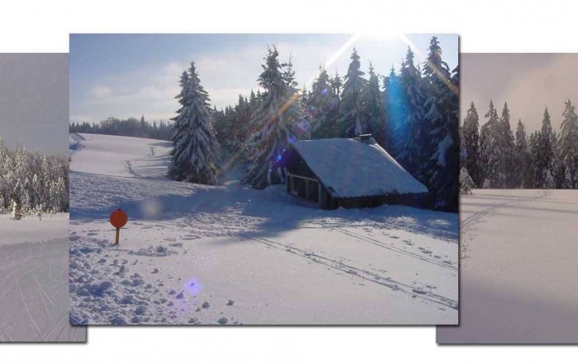 Location de vacances - Gîte à La Bresse - LA BRESSE HIVER Pistes de ski de fond de Lispach