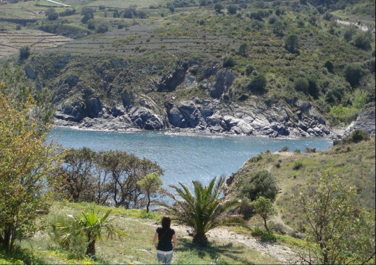 Location de vacances - Appartement à Cerbère - Mer et nature méditerranéenne. Crique au pied de l'appartement