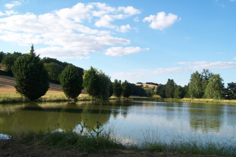 Location de vacances - Chambre d'hôtes à Seysses-Savès - Le lac