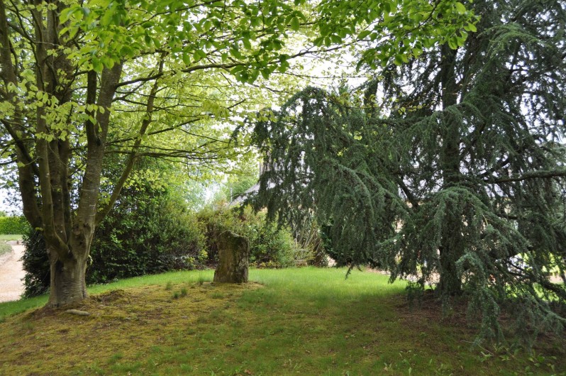 Location de vacances - Gîte à Lanvellec - Sous-bois, dans le jardin, devant Ty Coz
