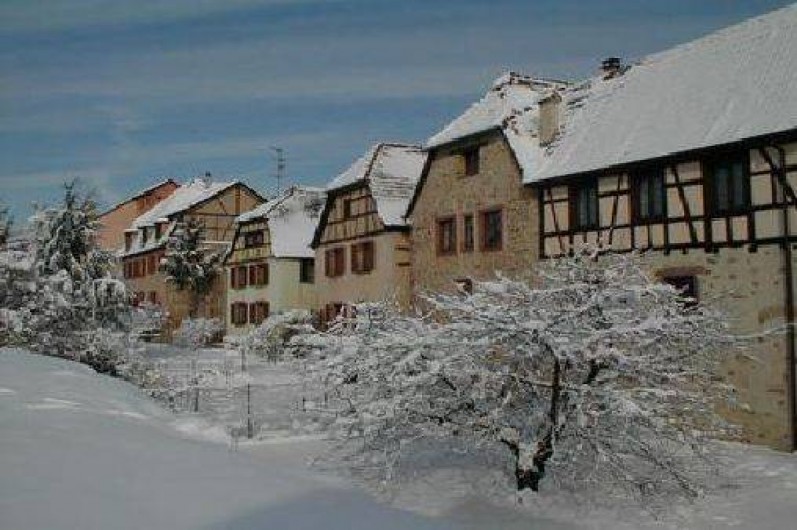 Location de vacances - Gîte à Bergheim - nos maisons sur les remparts