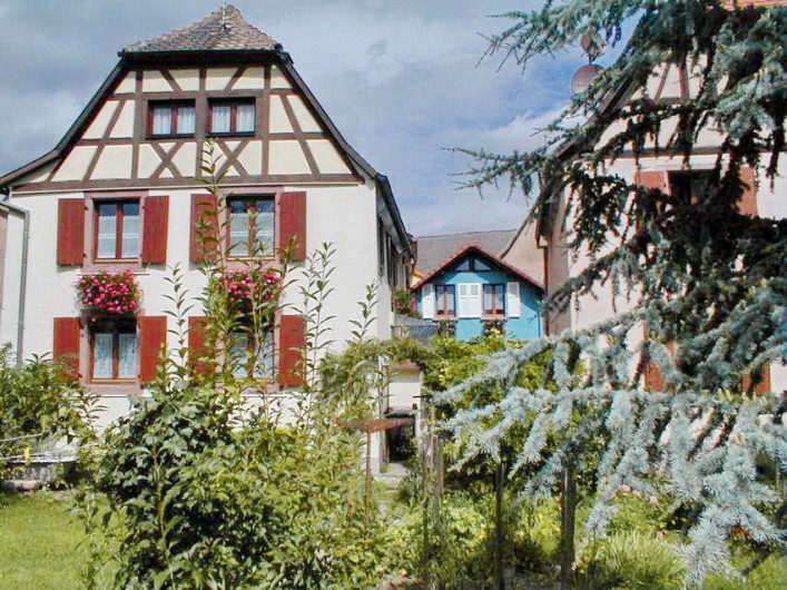 Location de vacances - Gîte à Bergheim - Notre maison et le gîte " La Maison Bleue " au fond