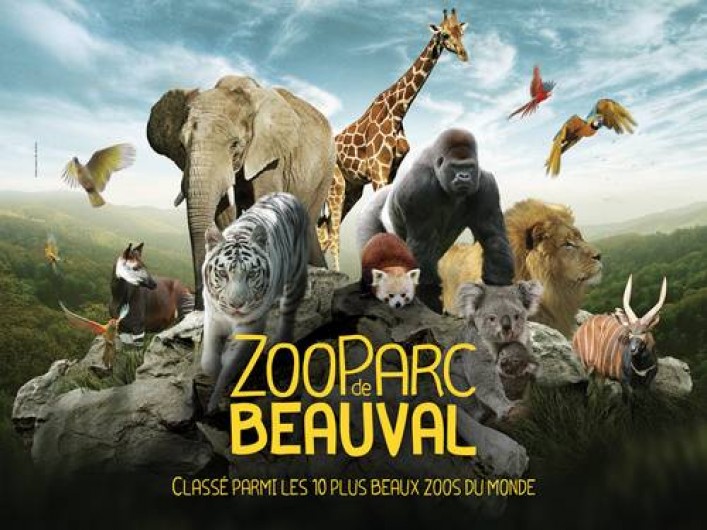 Location de vacances - Gîte à Seigy - Zoo de Beauval