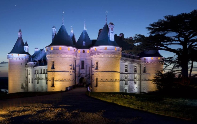 Location de vacances - Gîte à Seigy - Venez découvrir les plus beaux Châteaux de la Loire