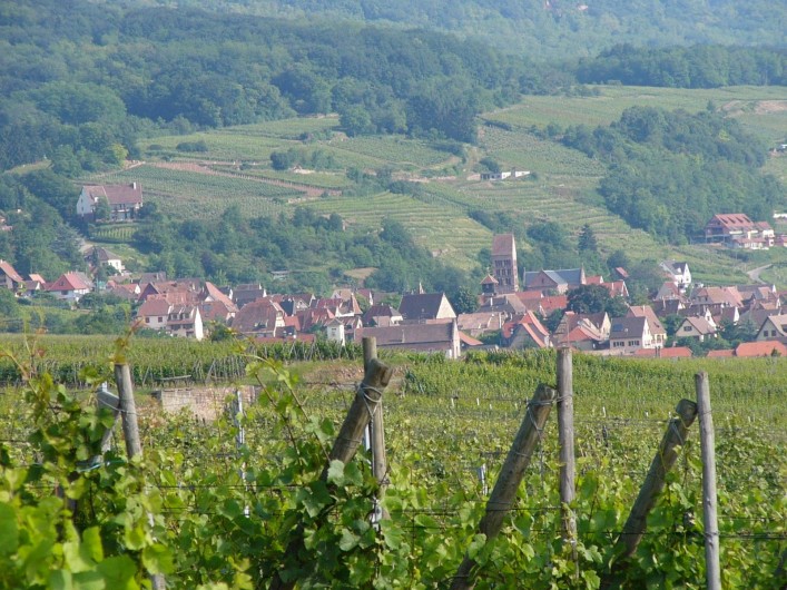 Location de vacances - Gîte à Gueberschwihr - Gueberschwihr sur la route des vins d'Alsace, village niché à flanc de coteaux