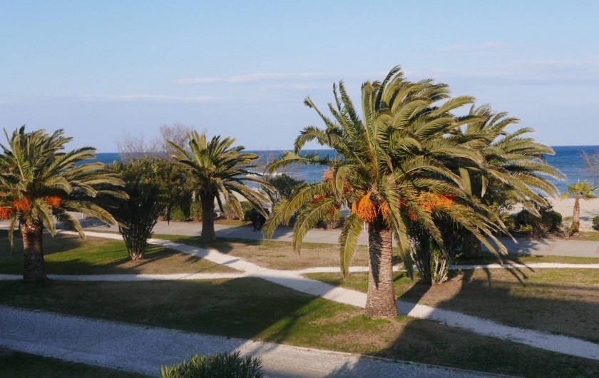 Location de vacances - Chalet à Argelès-sur-Mer - promenade devant villa