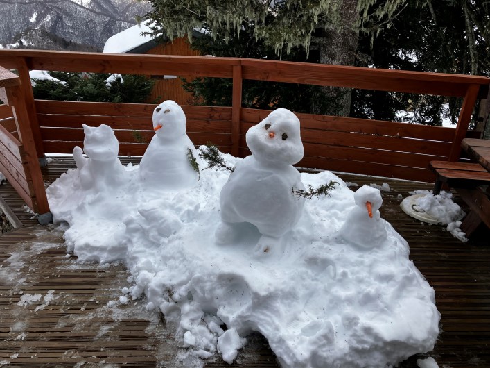 Location de vacances - Chalet à Ustou